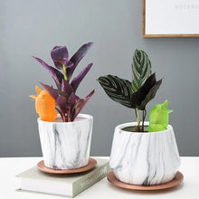 Load image into Gallery viewer, Self Spike Planter Drip Watering Bird š¦