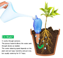 Load image into Gallery viewer, Self Spike Planter Drip Watering Bird š¦